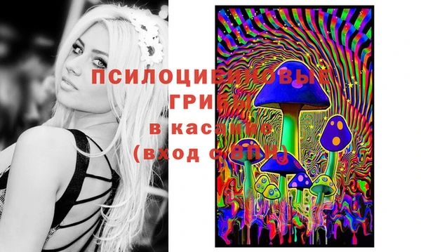 прущая мука Покров