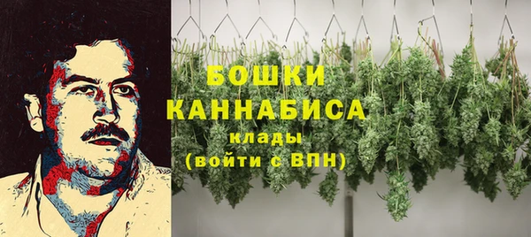 дмт Покровск
