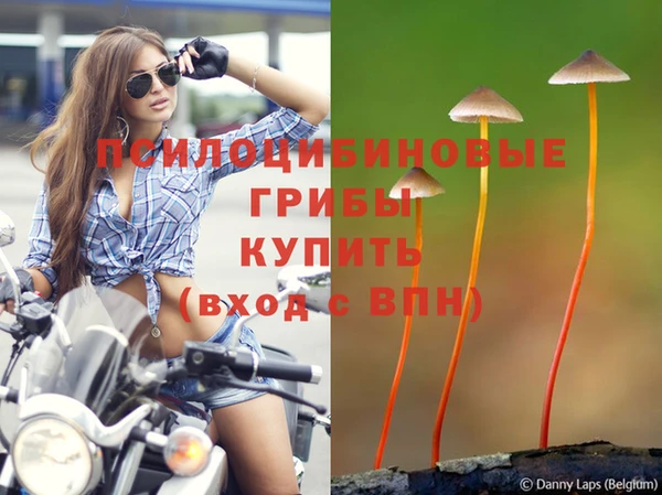 прущая мука Покров