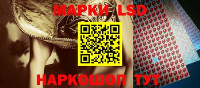 МДПВ Гусев