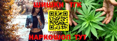 МДПВ Гусев
