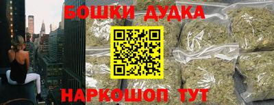 индика Гусиноозёрск