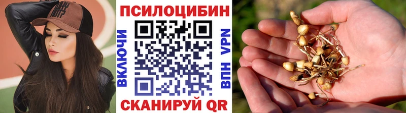 цены   Печора  Псилоцибиновые грибы Cubensis 
